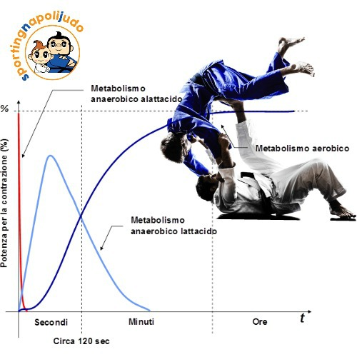 Classific.ne bioenergetica e neuromotoria del judo 