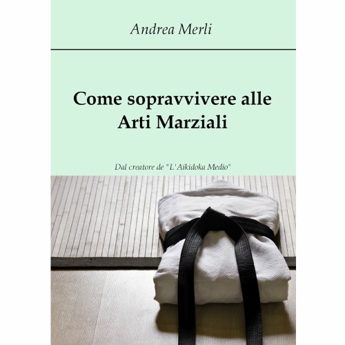 Come sopravvivere alle arti marziali - Articoli  - sporting napoli articoli